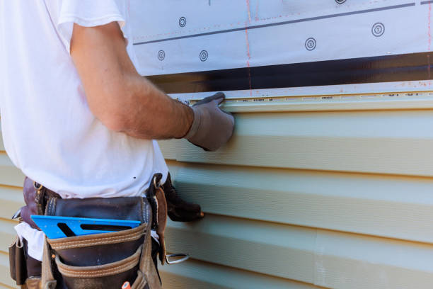 Affordable Vinyl Siding solutions in Louisburg, NC